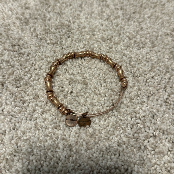 Alex and Ani Rose Gold Bracelet Set - Picture 4 of 6